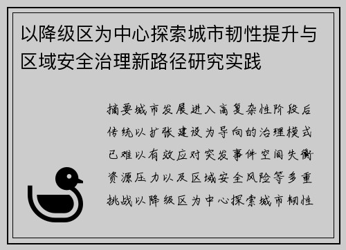 以降级区为中心探索城市韧性提升与区域安全治理新路径研究实践